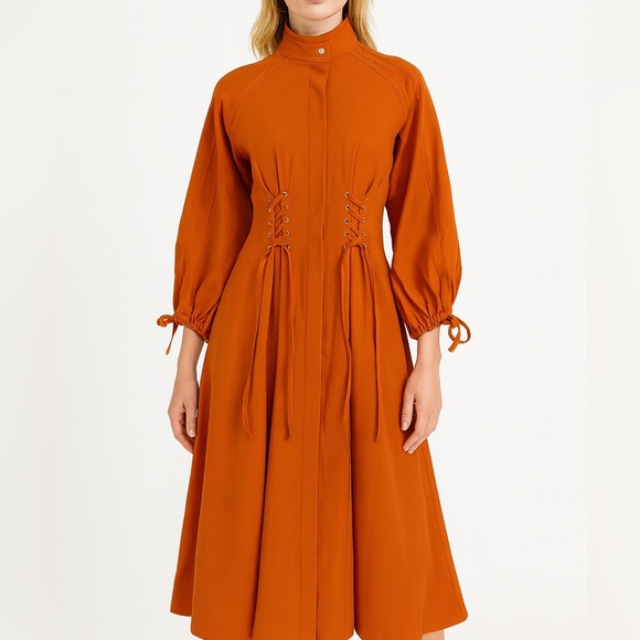The RAETRUDA Rust Tie Accent Dress - Picture 6 of 14